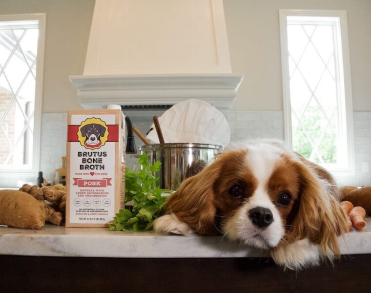 Brutus Bone Broth Pork Broth with Pup model