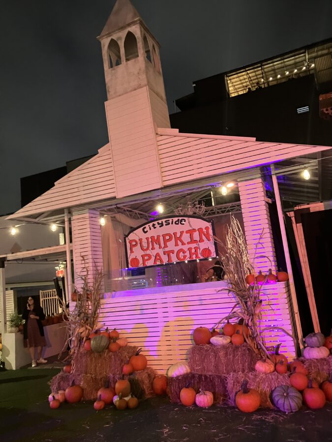 White church pumpkin display