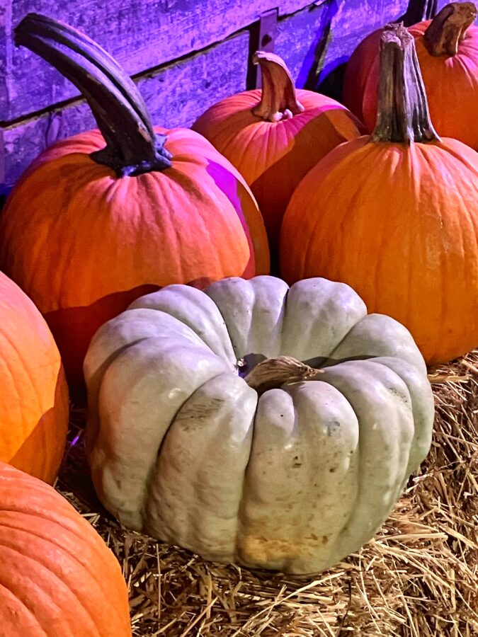 Pumpkins