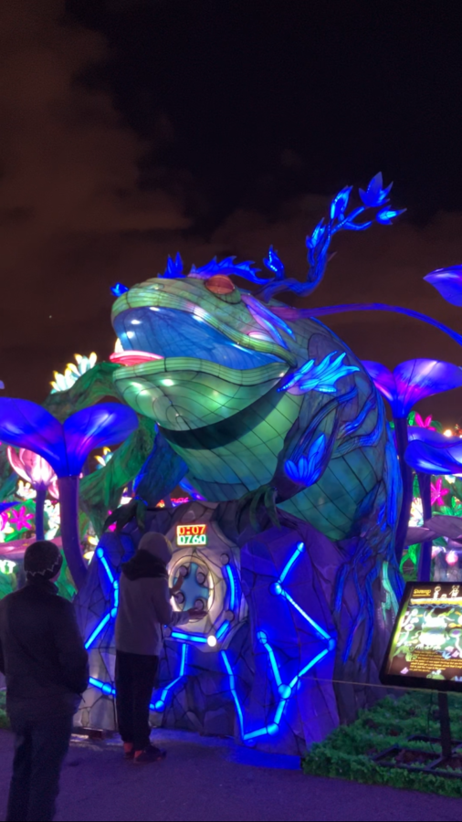 Electronic Frog Game